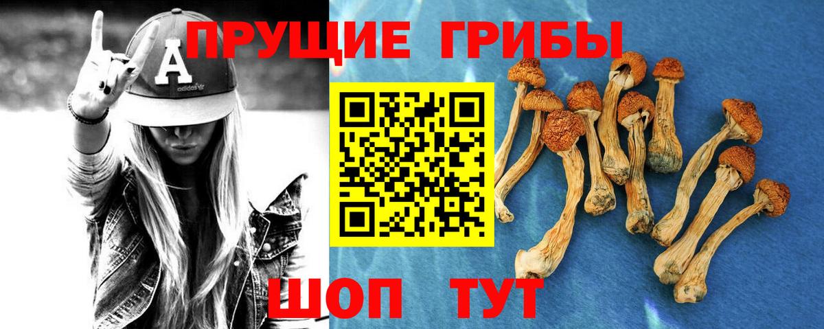 Грязи  Галлюциногенные грибы прущие грибы  Вход с VPN 